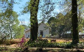 Yellowwoods Farm - The Goat House